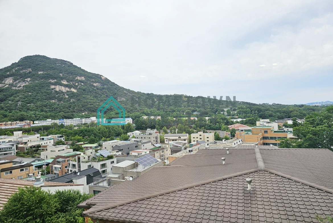 View from the terrace