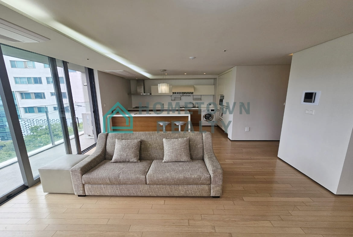 Livingroom and kitchen